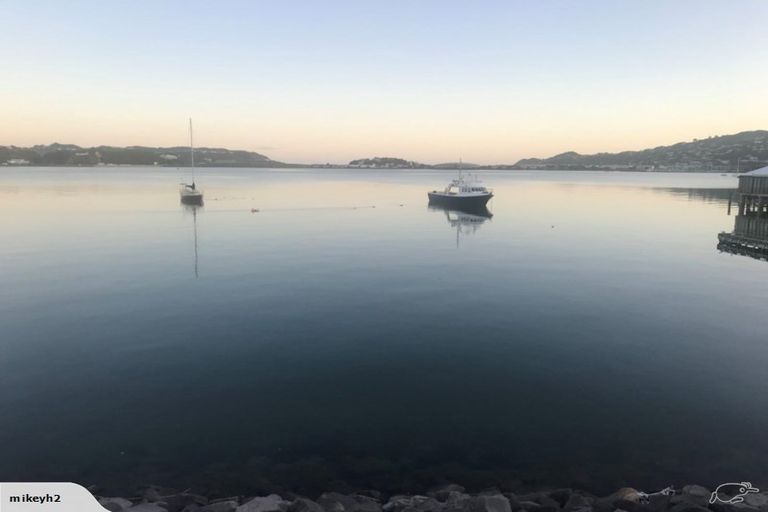 Photo of property in Marrakech Cafe, 21/305 Evans Bay Parade, Hataitai, Wellington, 6021