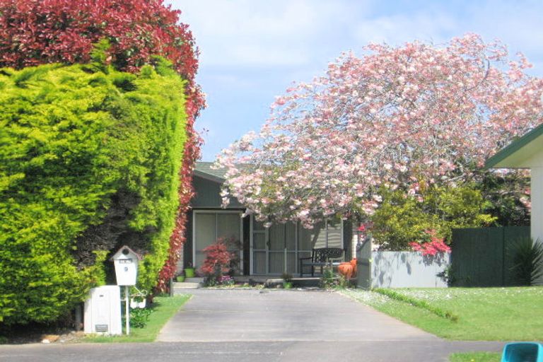 Photo of property in 9 Wiseley Place, Morrinsville, 3300