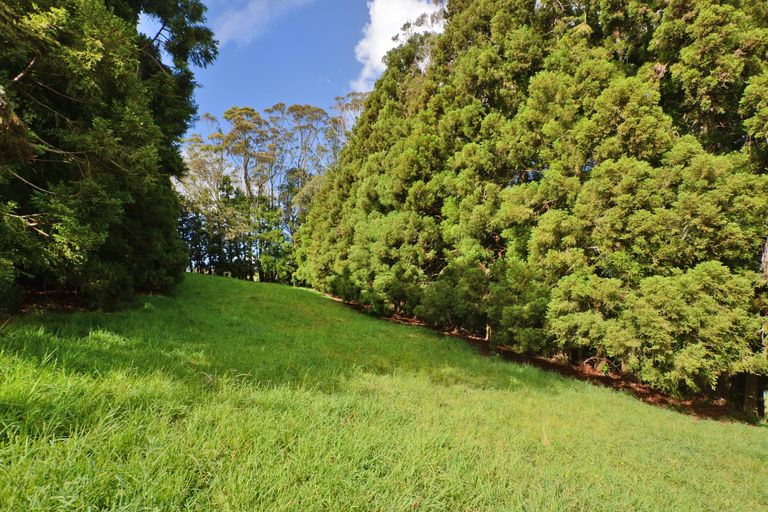 Photo of property in 217 Apotu Road, Kauri, 0185