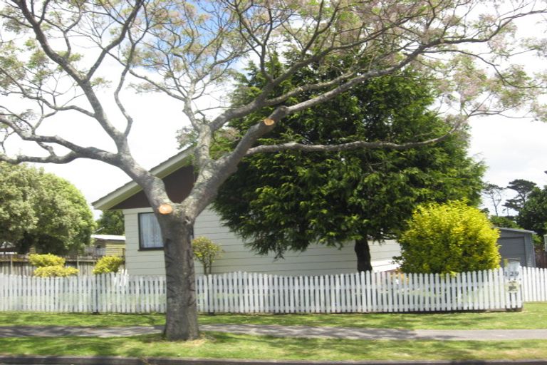 Photo of property in 129 Finlayson Avenue, Clendon Park, Auckland, 2103