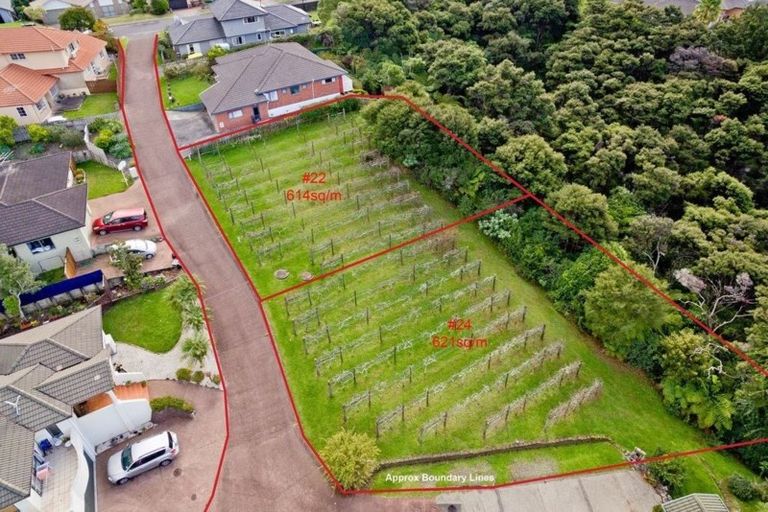 Photo of property in 24 Lorikeet Place, Unsworth Heights, Auckland, 0632