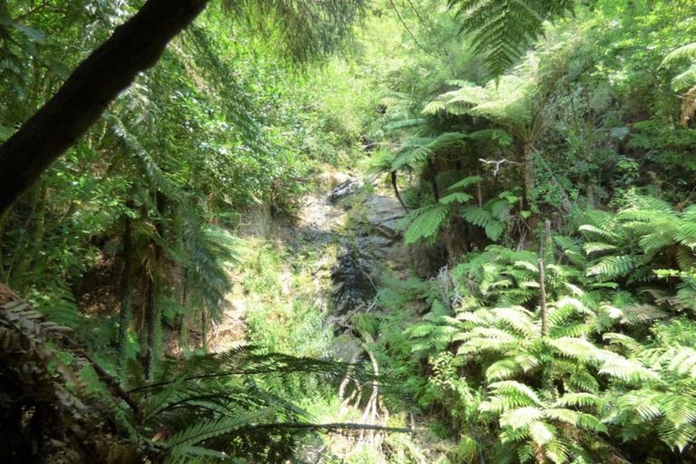 Photo of property in 340 Tutaetoko Road, Toatoa, Opotiki, 3197