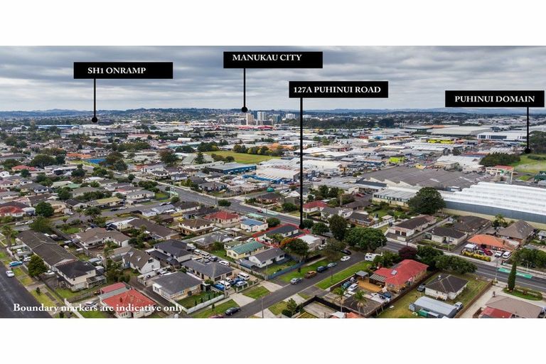 Photo of property in 127a Puhinui Road, Papatoetoe, Auckland, 2104