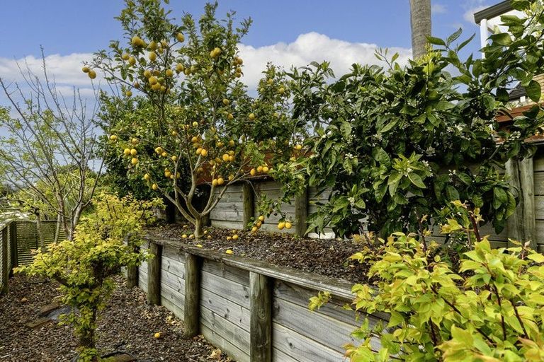 Photo of property in 31 Brodie Place, Bethlehem, Tauranga, 3110