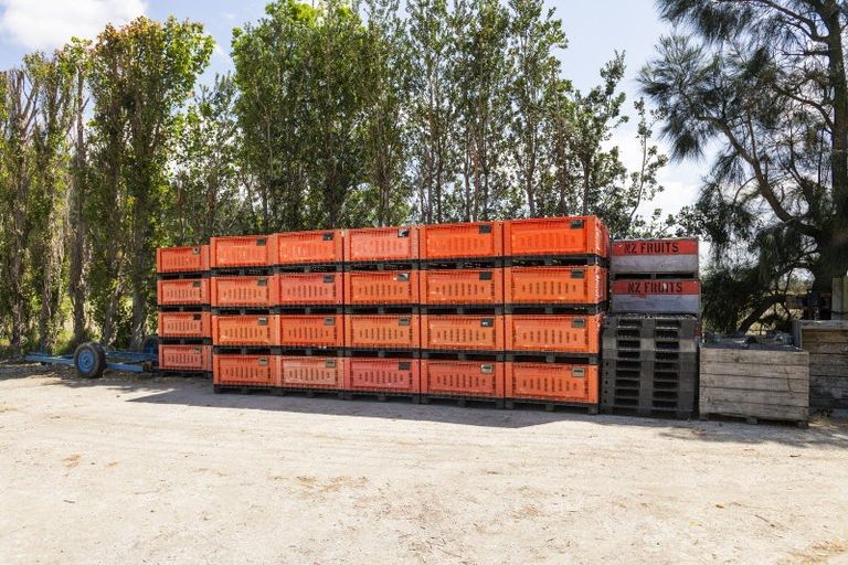 Photo of property in 98 Taurau Valley Road, Manutuke, 4072