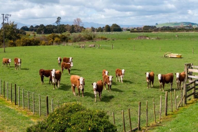 Photo of property in 3b Kereone Road, Morrinsville, 3371