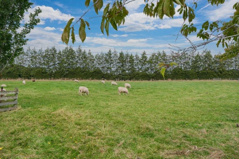 Photo of property in 232 Crow Road, Thomsons Crossing, Winton, 9781
