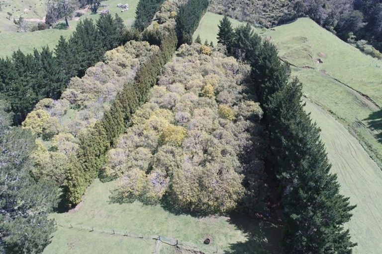 Photo of property in 348b Rea Road, Tahawai, Katikati, 3178