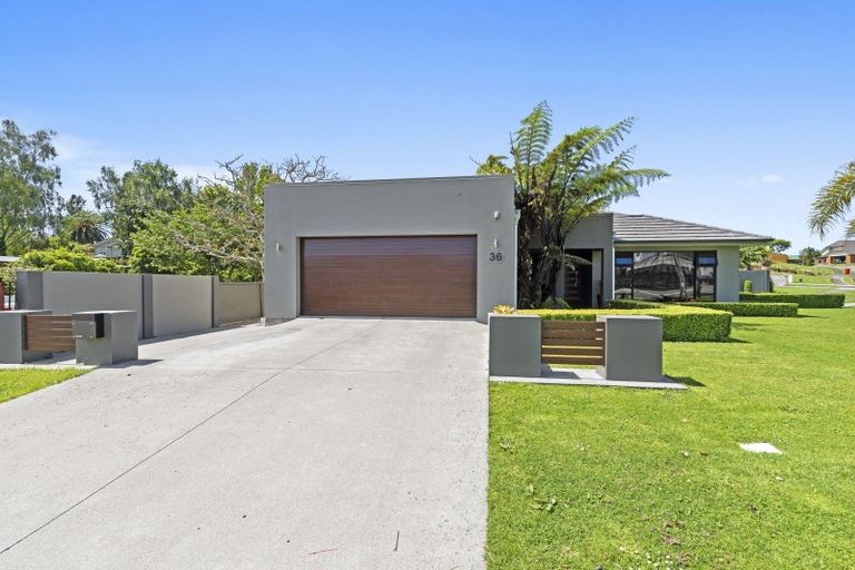 Photo of property in 36 Kawiu Road, Levin, 5510