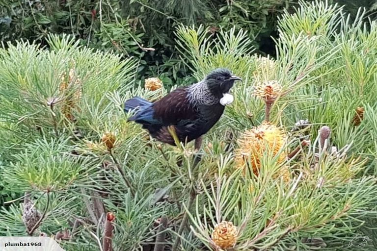 Photo of property in 6 Paua Place, Camborne, Porirua, 5026