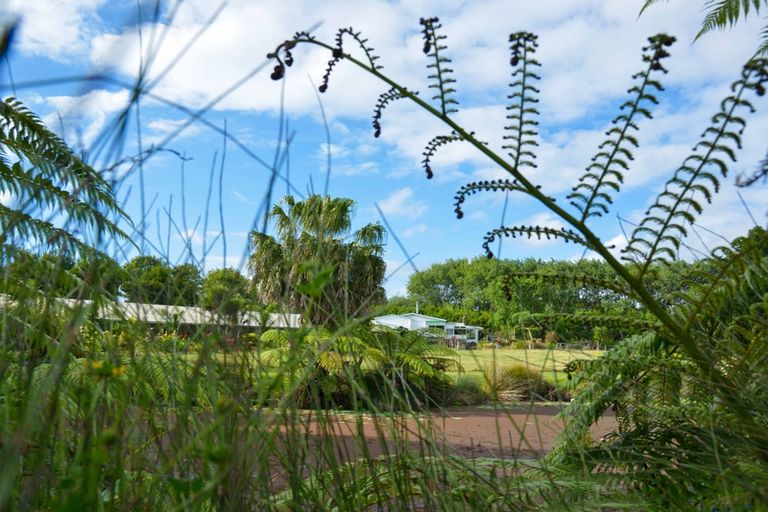 Photo of property in 202 Muriwai Valley Road, Muriwai, Waimauku, 0881