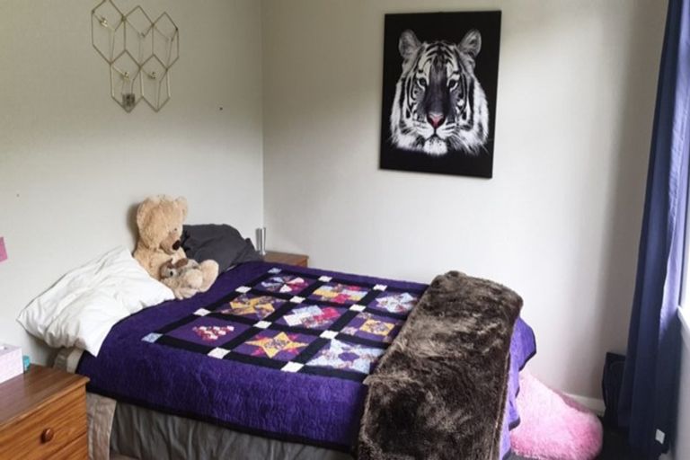 Photo of property in 5 Walmer Street, Hataitai, Wellington, 6021