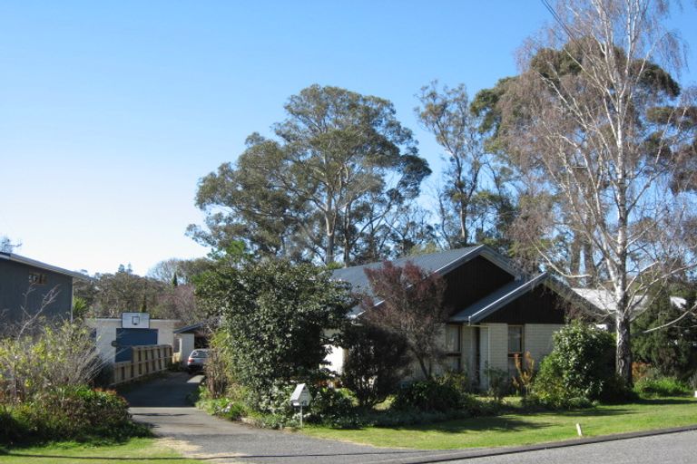 Photo of property in 47a Plassey Street, Havelock North, 4130