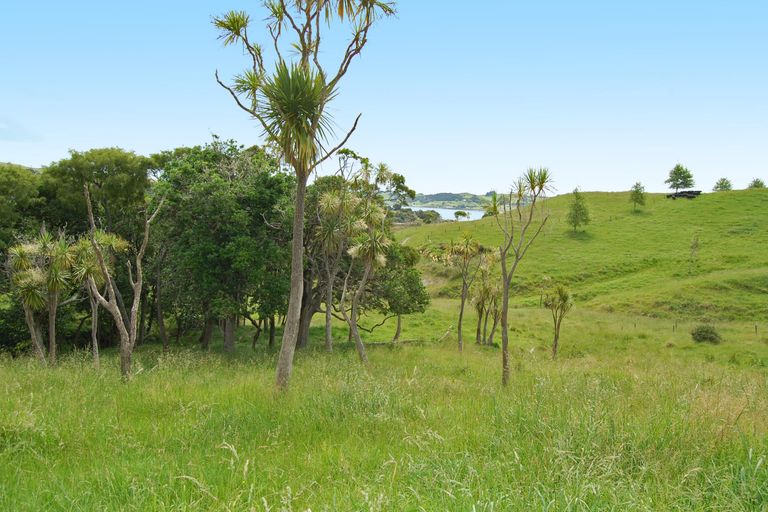 Photo of property in 135 Phillips Road, Kaiwaka, 0573