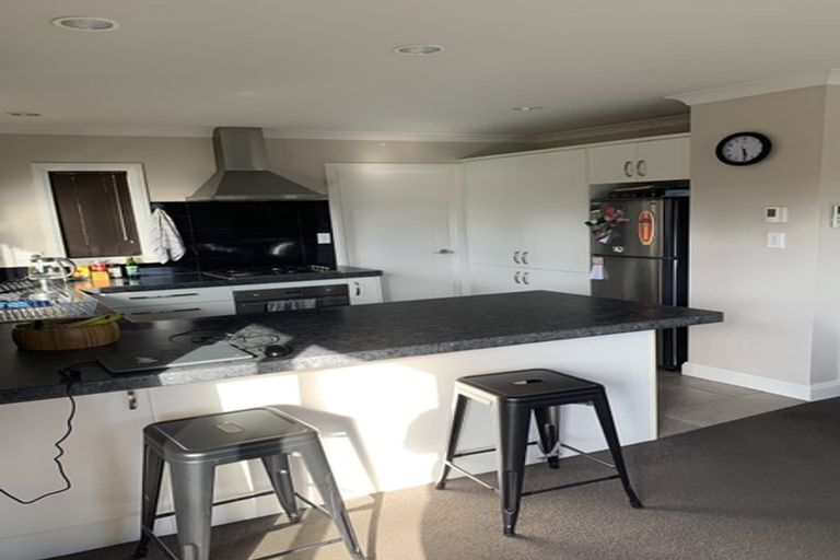 Photo of property in 16 Regent Street, Silverdale, Hamilton, 3216