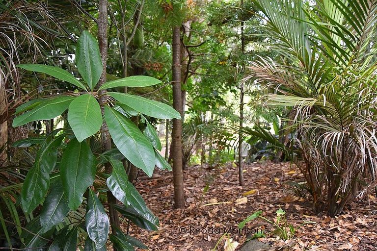 Photo of property in 45 Gorge Road, Maungaturoto, 0520