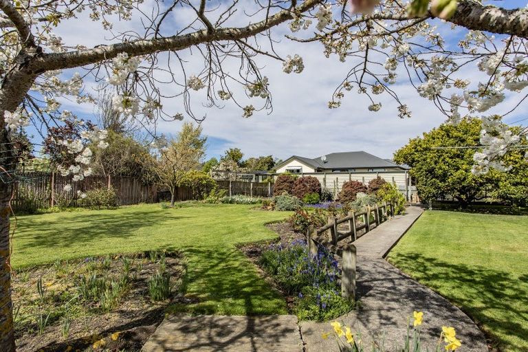 Photo of property in 22 Bank Street, Amberley, 7410