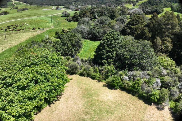 Photo of property in 568 Brown Road, Mangawhai, Kaiwaka, 0573