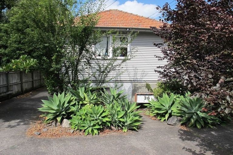 Photo of property in 1/36 Scanlan Street, Grey Lynn, Auckland, 1021