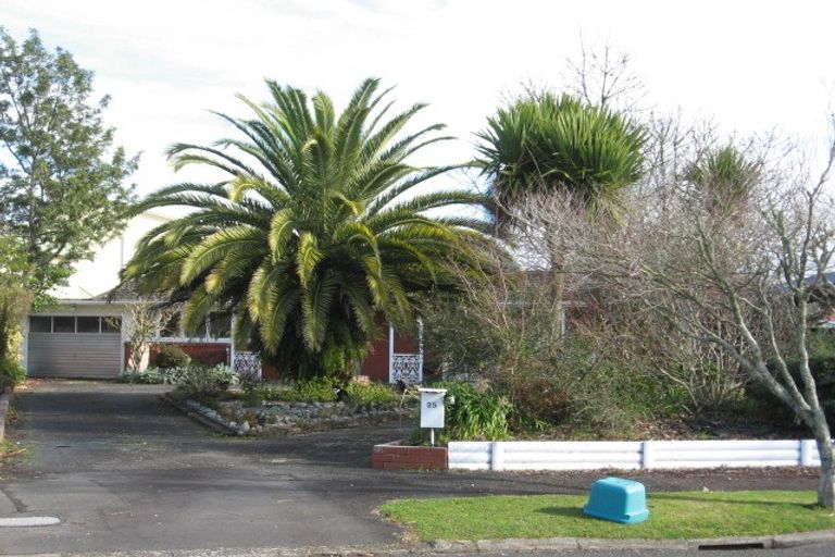 Photo of property in 25 Kensington Place, Fairfield, Hamilton, 3214