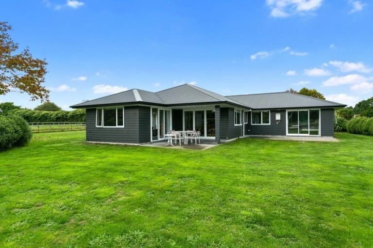 Photo of property in 1286 Mcclure Street, Pirongia, Te Awamutu, 3876