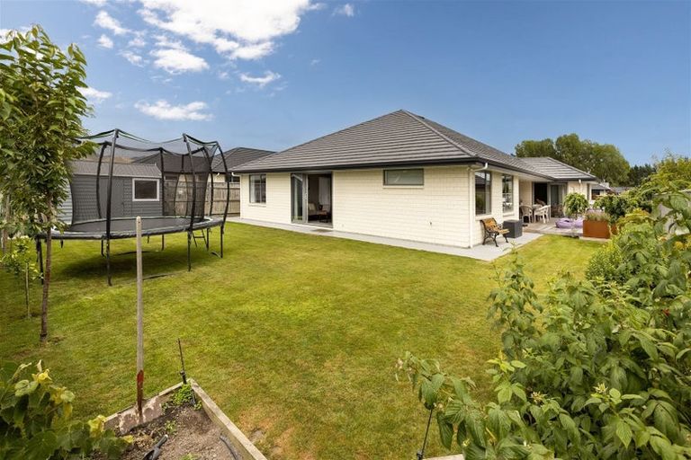 Photo of property in 15 Maeburn Street, Witherlea, Blenheim, 7201