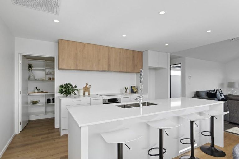 Photo of property in 47 Fairmaid Street, Lincoln, 7608