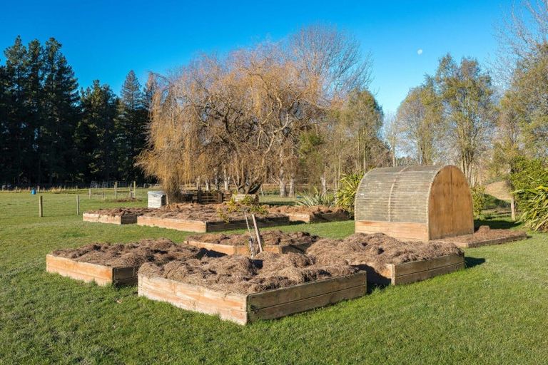 Photo of property in 124 Waihao Back Road, Waimate, 7979