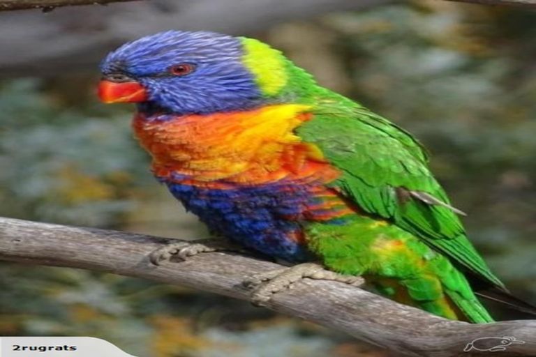 Photo of property in 221 Hamurana Road, Hamurana, Rotorua, 3097