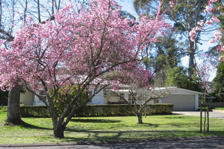 Photo of property in 47 Plassey Street, Havelock North, 4130