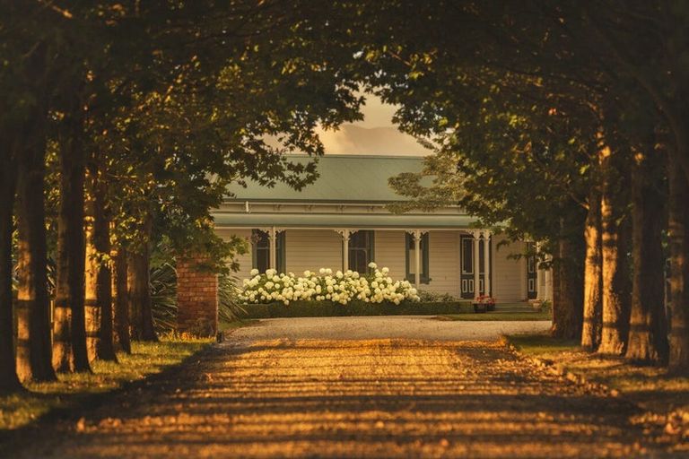 Photo of property in 100 Rowley Crescent, Grovetown, Blenheim, 7202