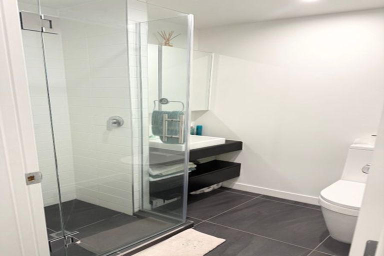 Photo of property in Pinnacle Apartments, W302/160 Victoria Street, Te Aro, Wellington, 6011