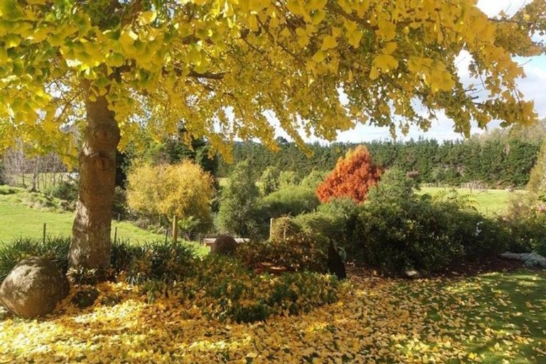 Photo of property in 403 Kapiro Road, Kerikeri, 0294