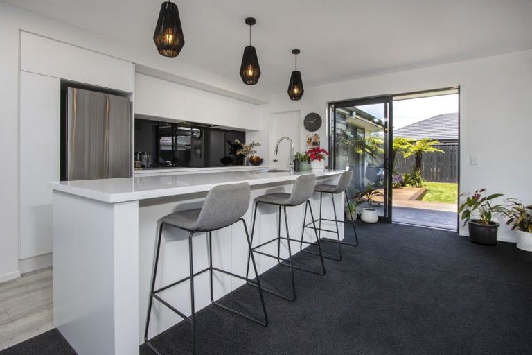 Photo of property in 55 Berryfield Drive, Richmond, 7020