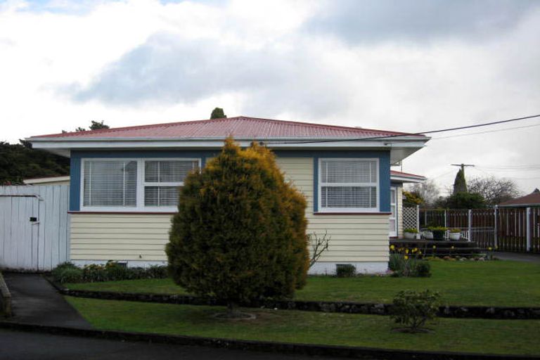 Photo of property in 17 Freyberg Street, Solway, Masterton, 5810