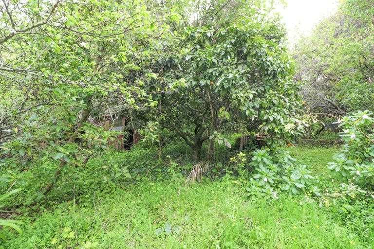 Photo of property in 111 Currie Street, Thames, 3500