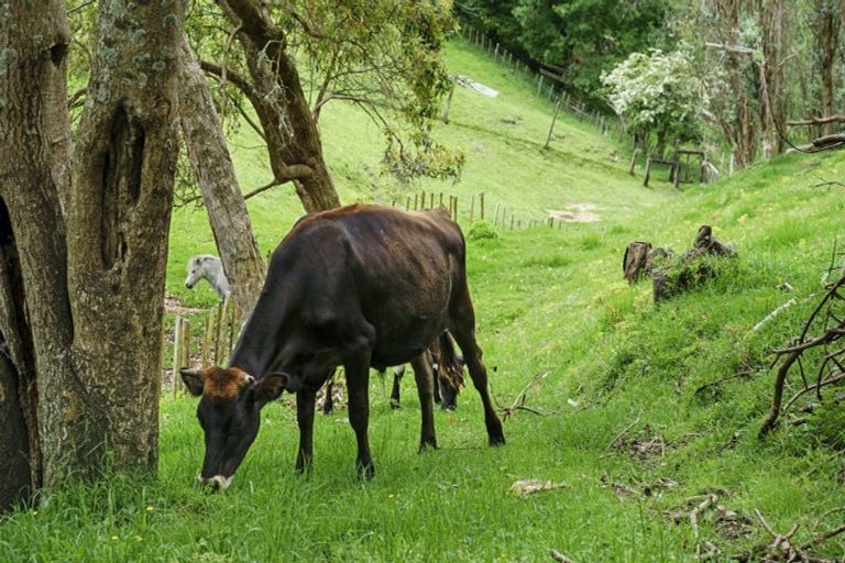 Photo of property in 7 Furniss Lane, Tauriko, Tauranga, 3110
