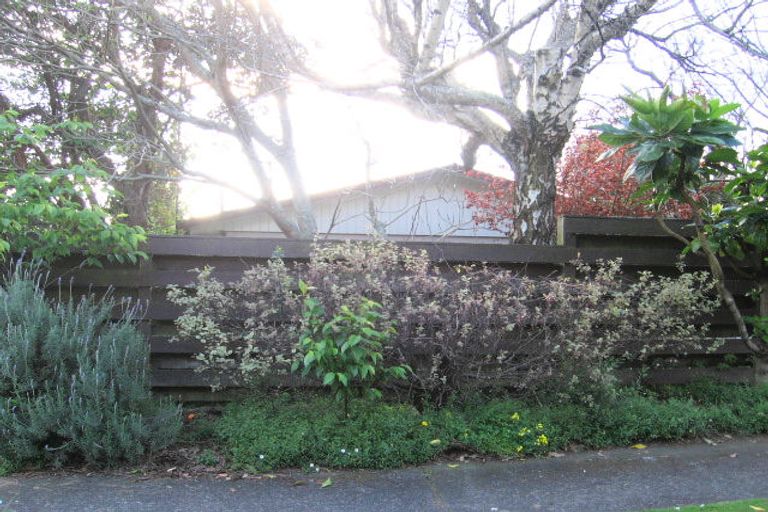 Photo of property in 28a Burns Street, Gate Pa, Tauranga, 3112