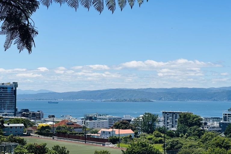 Photo of property in 5/60 Fairlie Terrace, Kelburn, Wellington, 6021