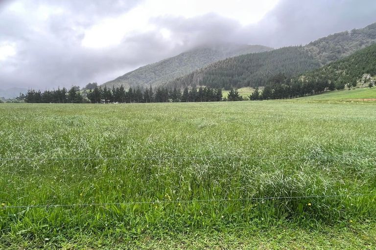 Photo of property in 712 Ronga Road, Rai Valley, 7194