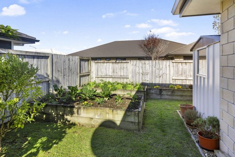 Photo of property in 21 Kowhai Drive, Cambridge, 3434