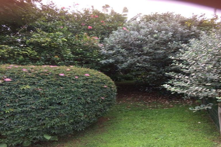 Photo of property in 8 Victoria Street, Tahawai, Katikati, 3170