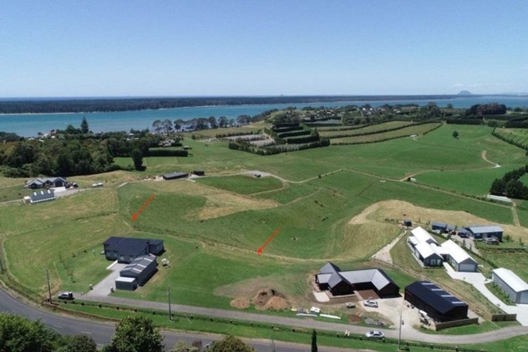 Photo of property in 192f Ongare Point Road, Tahawai, Katikati, 3170