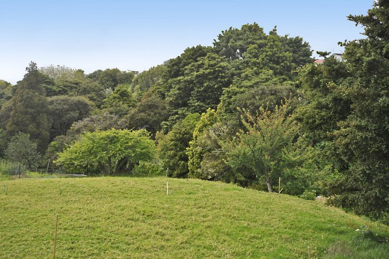 Photo of property in 55 Hauraki Road, Leigh, Warkworth, 0985