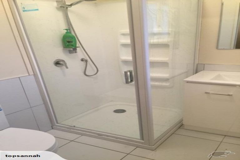 Photo of property in 233 Clarkin Road, Fairfield, Hamilton, 3214