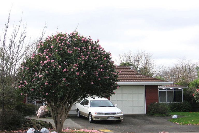Photo of property in 6 Seaton Court, Hokowhitu, Palmerston North, 4410