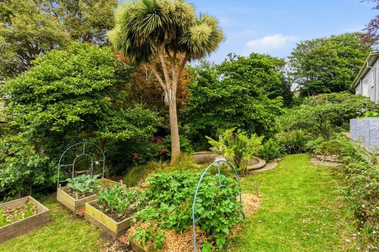 Photo of property in 20 Mcgeorge Avenue, Mornington, Dunedin, 9011