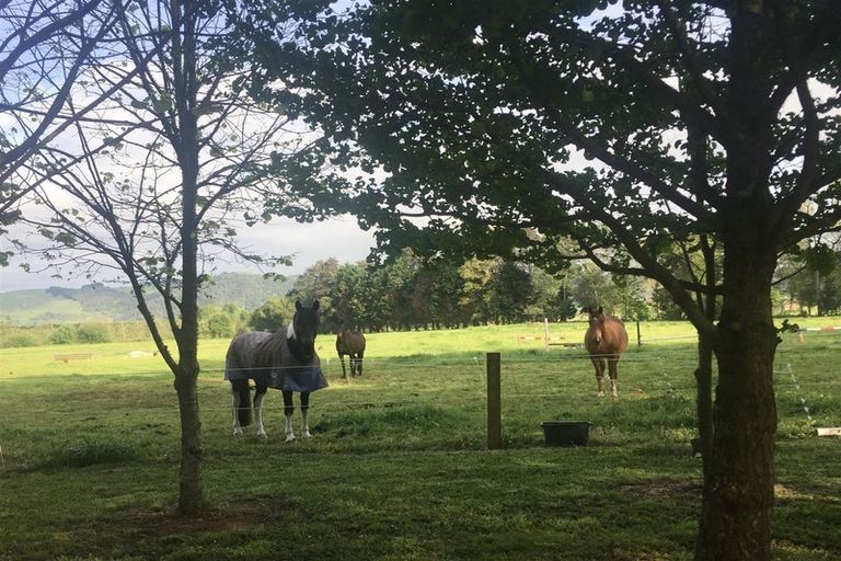 Photo of property in 46g Johnson Road, Otakiri, Whakatane, 3192