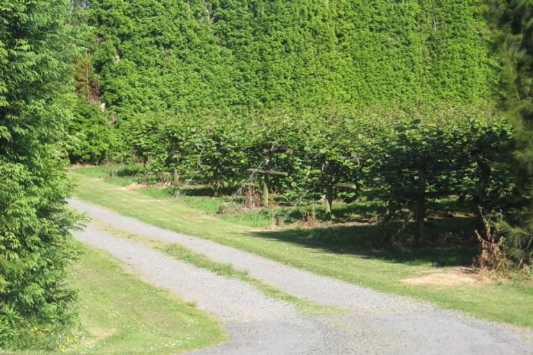 Photo of property in 107 Whakamarama Road, Whakamarama, 3179