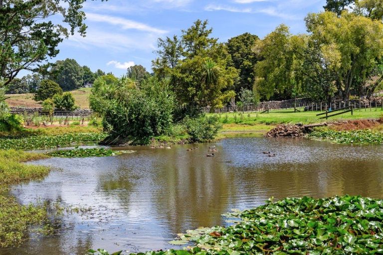 Photo of property in 638 Ngunguru Road, Glenbervie, Whangarei, 0173